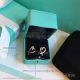 AAA Replica Tiffany And Co Paloma Picasso Loving Heart Earrings (6)_th.jpg